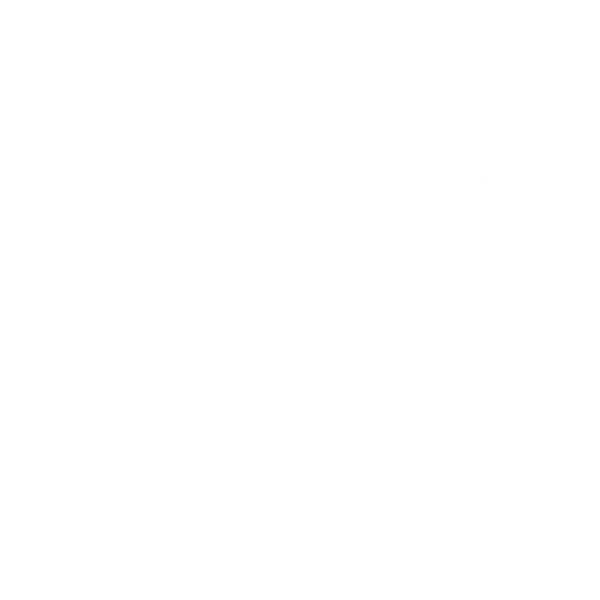 System of sins